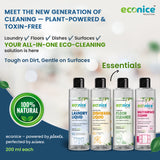 Introductory Kit - 4 bottles in a box