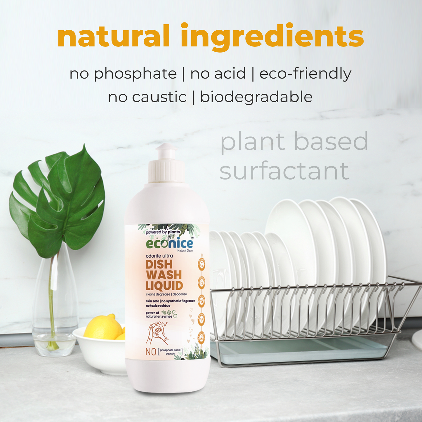 Natural Ultra Dishwash Liquid 500ML | Econice